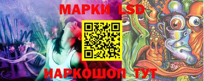 крисы Партизанск