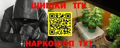 крисы Партизанск