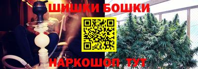крисы Партизанск