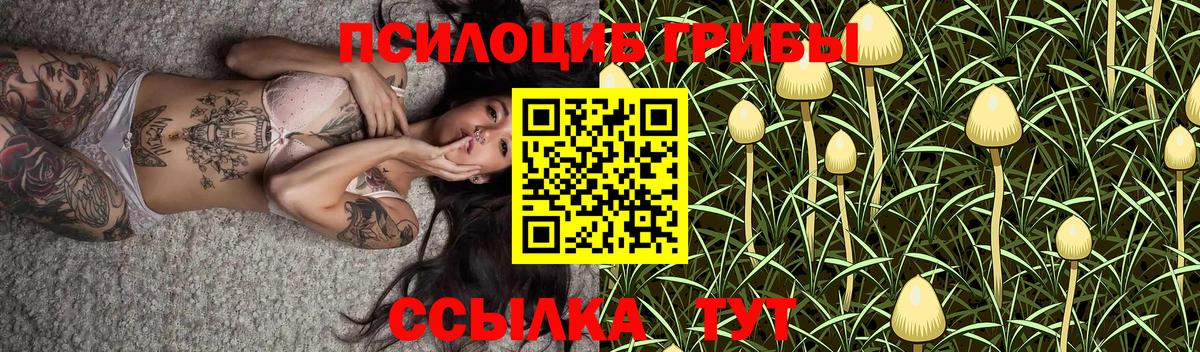 Саянск  Галлюциногенные грибы Magic Shrooms  магазин    Вход с VPN 